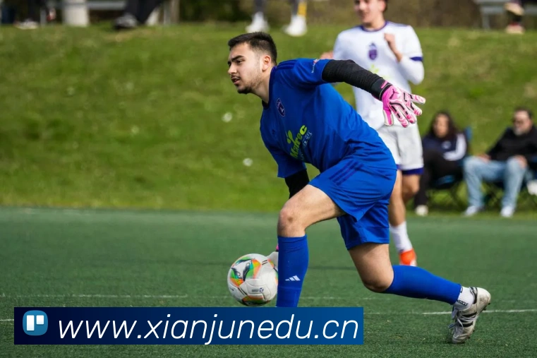 App Interface Preview