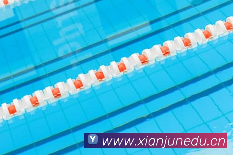 星空官网平台APP 封面图